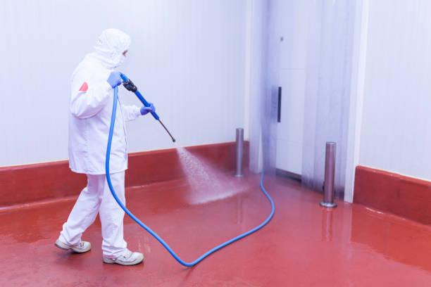 Best Pre-Holiday Cleaning  in Shorewood Forest, IN